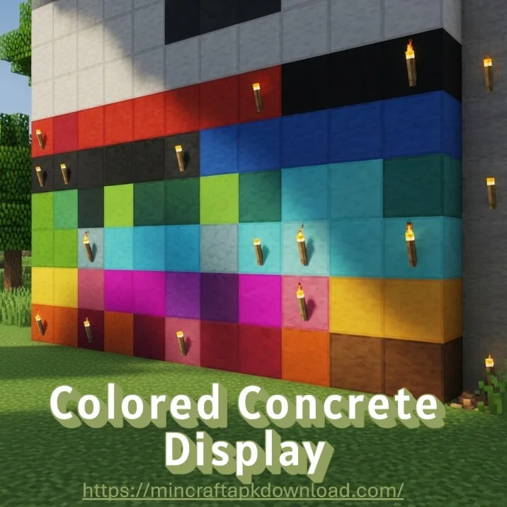 colored concrete display mc